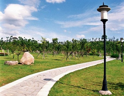 義烏市實驗小學園林綠化與景觀工程建設 打造生態(tài)教育新典范