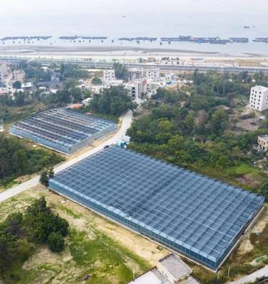 茂名西葛“百千萬工程”示范點(diǎn) 新晉“城市陽臺(tái)”網(wǎng)紅打卡地